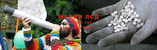прущие крисы Магас