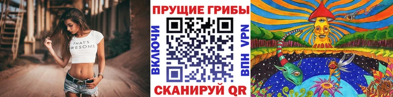 Галлюциногенные грибы мухоморы Димитровград