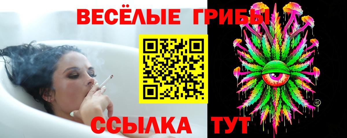 Псилоцибиновые грибы GOLDEN TEACHER  Вход с VPN  Галлюциногенные грибы ЛСД  Димитровград 